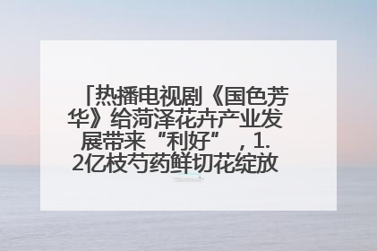 热播电视剧《国色芳华》给菏泽花卉产业发展带来“利好”，1.2亿枝芍药鲜切花绽放“国色芳华”