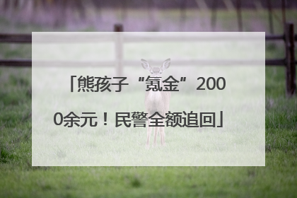 熊孩子“氪金”2000余元！民警全额追回