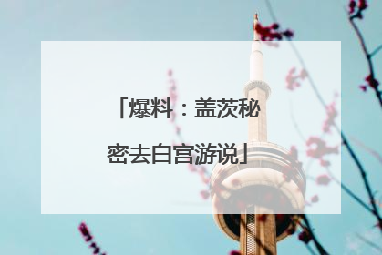 爆料：盖茨秘密去白宫游说