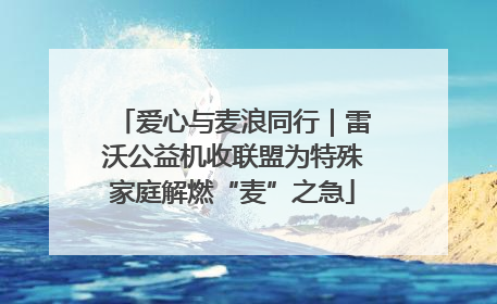 爱心与麦浪同行｜雷沃公益机收联盟为特殊家庭解燃“麦”之急