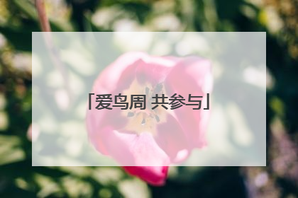 爱鸟周 共参与