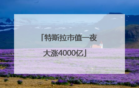 特斯拉市值一夜大涨4000亿
