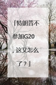 特朗普不参加G20，这又怎么了？
