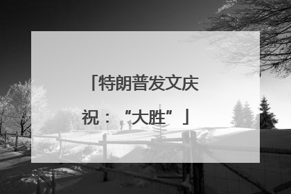特朗普发文庆祝：“大胜”