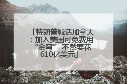 特朗普喊话加拿大：加入美国可免费用“金穹” 不然要花610亿美元