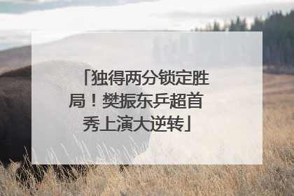 独得两分锁定胜局！樊振东乒超首秀上演大逆转