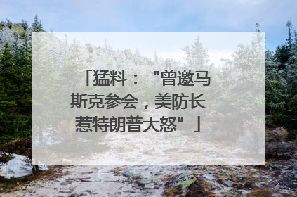 猛料：“曾邀马斯克参会，美防长惹特朗普大怒”
