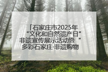 石家庄市2025年“文化和自然遗产日”非遗宣传展示活动暨“多彩石家庄·非遗购物节”倒计时1天