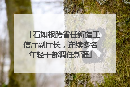 石如根跨省任新疆工信厅副厅长，连续多名年轻干部调任新疆
