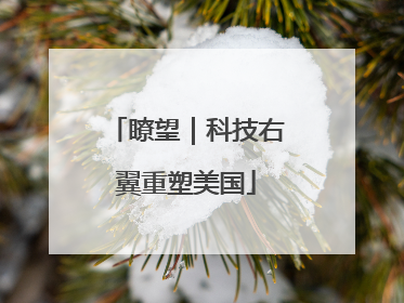 瞭望｜科技右翼重塑美国