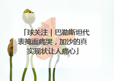 球关注｜巴勒斯坦代表掩面痛哭，加沙的真实现状让人痛心