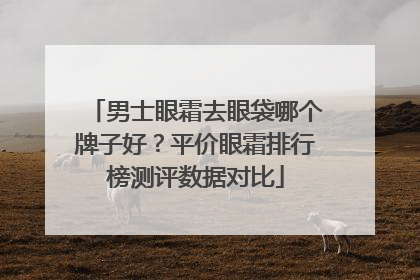 男士眼霜去眼袋哪个牌子好？平价眼霜排行榜测评数据对比