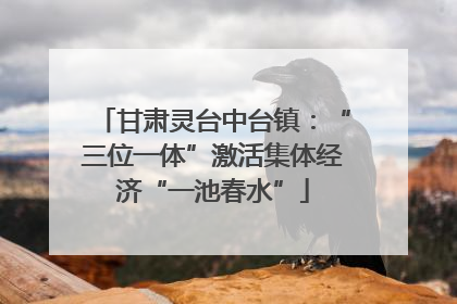 甘肃灵台中台镇：“三位一体”激活集体经济“一池春水”