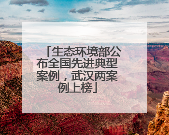 生态环境部公布全国先进典型案例，武汉两案例上榜