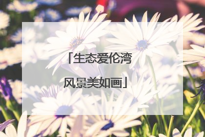 生态爱伦湾 风景美如画