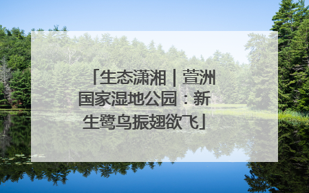生态潇湘｜萱洲国家湿地公园：新生鹭鸟振翅欲飞