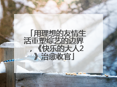 用理想的友情生活重塑综艺的边界，《快乐的大人2》治愈收官