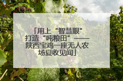 用上“智慧眼” 打造“吨粮田”——陕西宝鸡一座无人农场夏收见闻