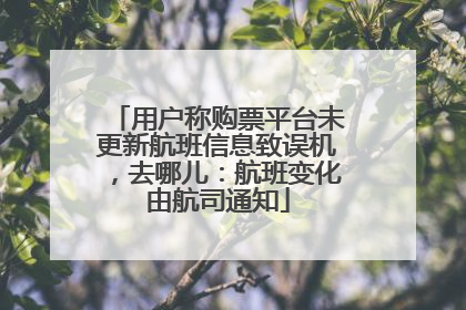 用户称购票平台未更新航班信息致误机，去哪儿：航班变化由航司通知