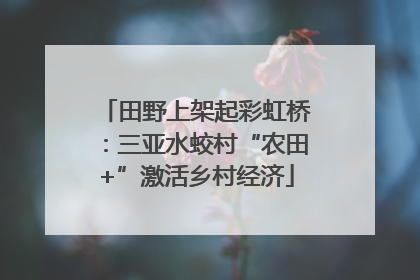 田野上架起彩虹桥：三亚水蛟村“农田+”激活乡村经济