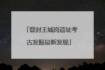 登封王城岗遗址考古发掘最新发现