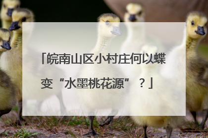 皖南山区小村庄何以蝶变“水墨桃花源”？