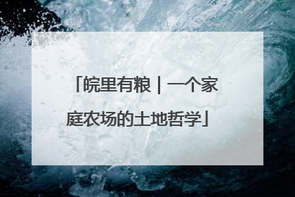 皖里有粮｜一个家庭农场的土地哲学