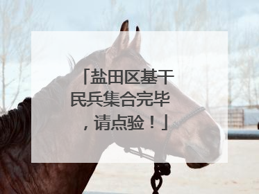 盐田区基干民兵集合完毕，请点验！