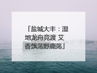盐城大丰：湿地龙舟竞渡 艾香飘荡野鹿荡