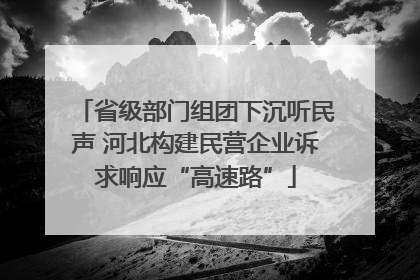 省级部门组团下沉听民声 河北构建民营企业诉求响应“高速路”