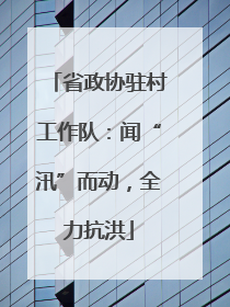 省政协驻村工作队：闻“汛”而动，全力抗洪