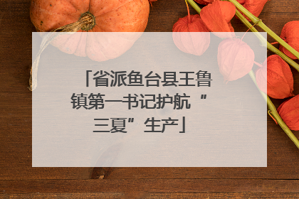 省派鱼台县王鲁镇第一书记护航“三夏”生产