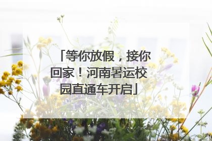 等你放假，接你回家！河南暑运校园直通车开启