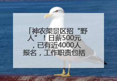 神农架景区招“野人”！日薪500元，已有近4000人报名，工作职责包括“接受游客投喂”