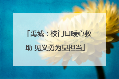 禹城：校门口暖心救助 见义勇为显担当