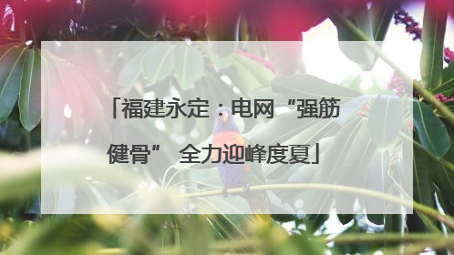 福建永定：电网“强筋健骨” 全力迎峰度夏