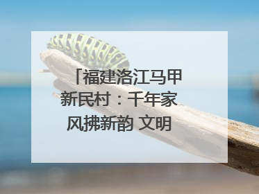 福建洛江马甲新民村：千年家风拂新韵 文明之花绽乡野