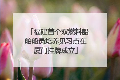 福建首个双燃料船舶船员培养见习点在厦门挂牌成立