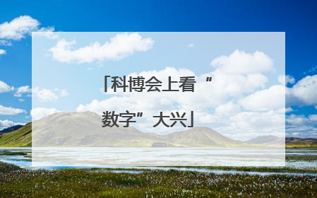 科博会上看“数字”大兴
