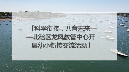 科学衔接，共育未来——北碚区龙凤教管中心开展幼小衔接交流活动
