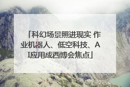 科幻场景照进现实 作业机器人、低空科技、AI应用成西博会焦点