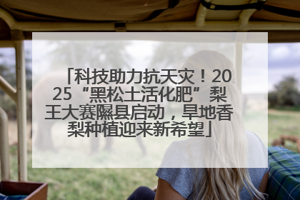 科技助力抗天灾！2025“黑松土活化肥”梨王大赛隰县启动，旱地香梨种植迎来新希望