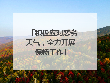 积极应对恶劣天气，全力开展保畅工作