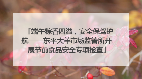 端午粽香四溢，安全保驾护航——东平大羊市场监管所开展节前食品安全专项检查