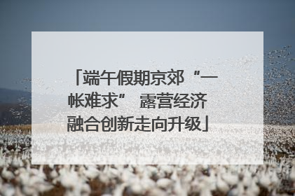 端午假期京郊“一帐难求” 露营经济融合创新走向升级