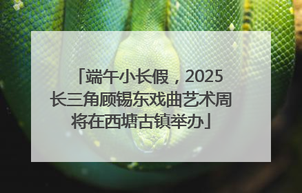 端午小长假，2025长三角顾锡东戏曲艺术周将在西塘古镇举办