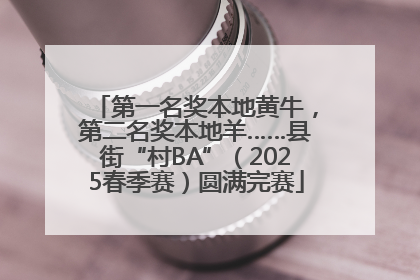 第一名奖本地黄牛，第二名奖本地羊……县街“村BA”（2025春季赛）圆满完赛