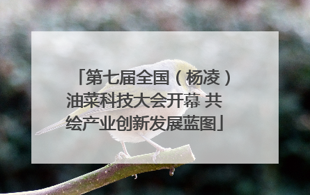 第七届全国（杨凌）油菜科技大会开幕 共绘产业创新发展蓝图