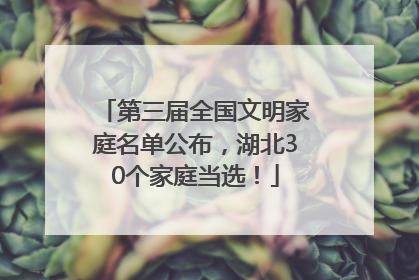 第三届全国文明家庭名单公布，湖北30个家庭当选！