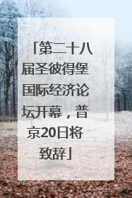 第二十八届圣彼得堡国际经济论坛开幕，普京20日将致辞